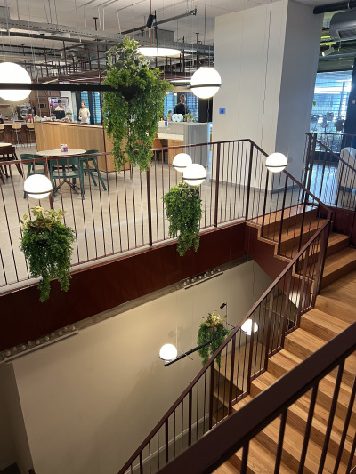 Palma Pendant by Vibia