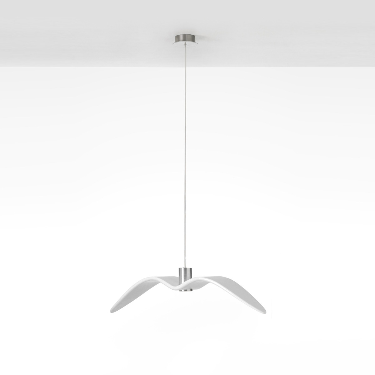 Night Birds - Wing Mid